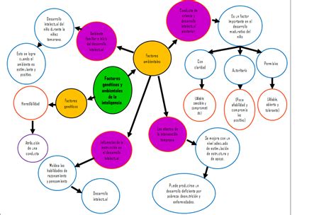 Desarrollo De Los Adolescentes Iv Procesos Cognitivos