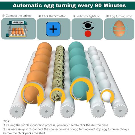 Incubadoras De Huevos Pro Para Incubar Huevos Fahrenheit Con Turner