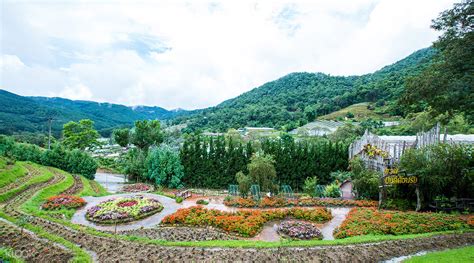 Doi Inthanon National Park Day Tour