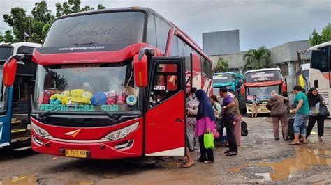 Penumpang Membludak Di Luar Dugaan ⁉️ Hunting Bus Selasa Sore Jelang