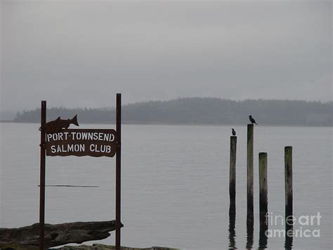 The Salmon Club Photograph by Laura Wong-Rose