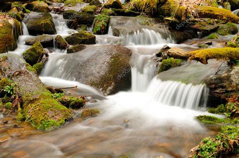 Spring water on a mountain creek — Stock Photo © wildnerdpix #5744345