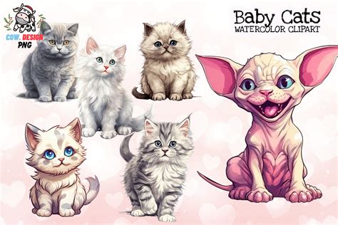 Baby Cats Sublimation Clipart Graphic By Cow Design Creative Fabrica