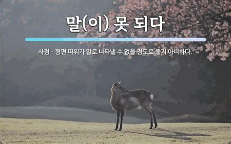 말이 못 되다 뜻 사정ㆍ형편 따위가 말로 나타낼 수 없을 정도로 좋지 아니하다