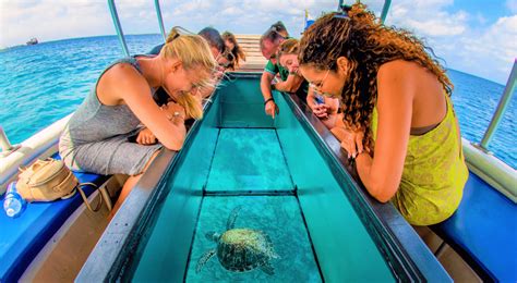 Glass Bottom Boat Ride In Andaman Islands Book Glass Bottom Boat Ride