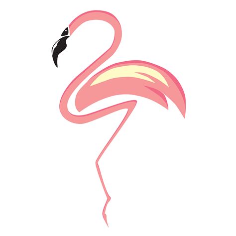 Flamingo Logo Design Behance