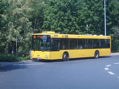 Dresdner Verkehrsbetriebe Ag Dvb Fotos Bus Bild De