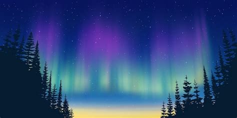 Premium Vector Aurora Borealis And Forest Northern Lights And Stars