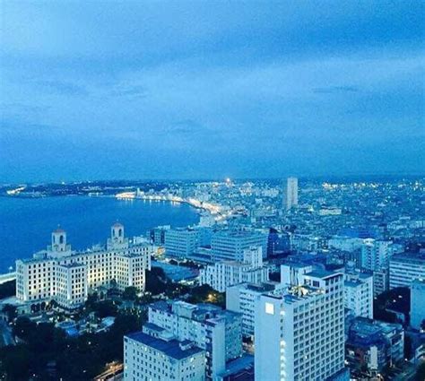 palmares  palmares  reviews