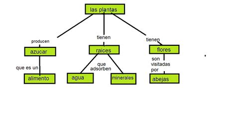 Esquema De Las Plantas Imagui