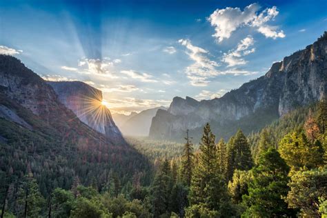Official Guide for Yosemite First-Timers | Discover Yosemite National Park