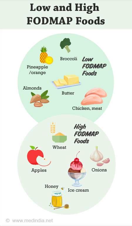 Low Fodmap Diet Pdf Grocery List And Printable Fodmap Diet 42 Off