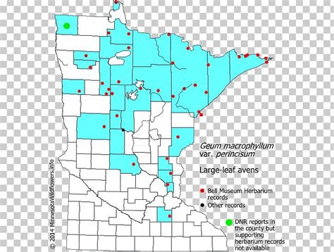 Minnesota Line Point Land Lot Map PNG, Clipart, Area, Art, Diagram, Land Lot, Line Free PNG Download