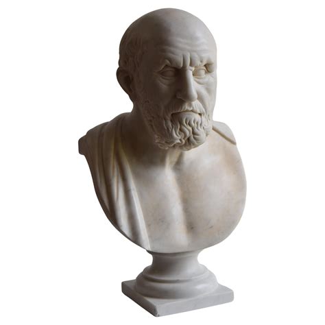 Busto Di Ippocrate Scolpito Su Marmo Bianco Di Carrara At 1stDibs