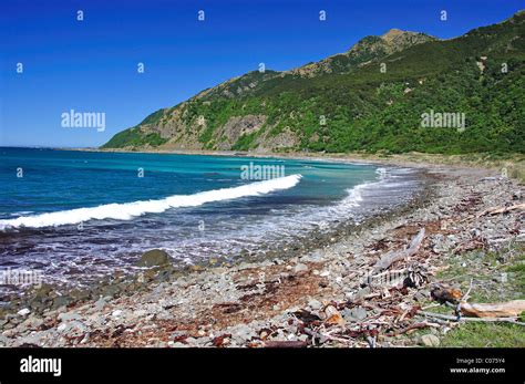 Waipapa Bay Kaikoura Coast Kaikoura Canterbury Region South Island