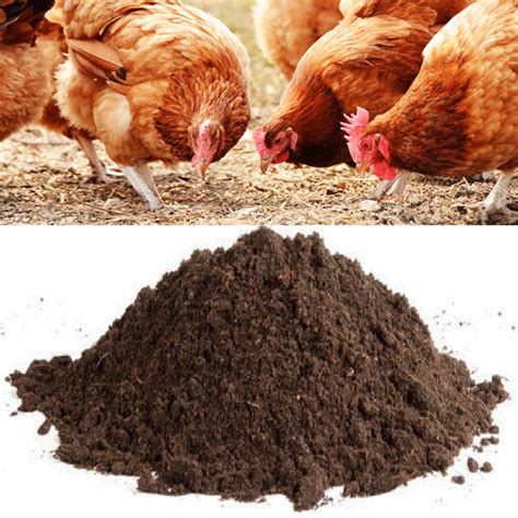 Buy Poultry Manure Kozhi Kashtam Organic Fertilizer Greens Of Kerala