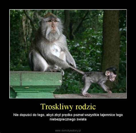 Troskliwy Rodzic Demotywatory Pl