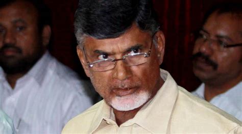 Andhra Pradesh Chief Minister likely to expand Cabinet, induct son ...