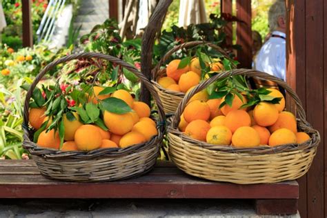 Beautiful Oranges Free Stock Photo Public Domain Pictures