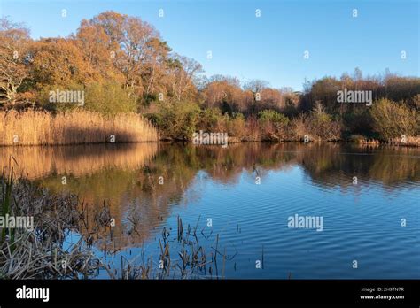 The Ornamental Lake On Southampton Common Stock Photo Alamy