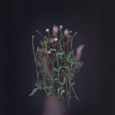 I Hate Sex I Hate Sex Algae Bloom Black Knight Satellite Lyrics And Tracklist Genius