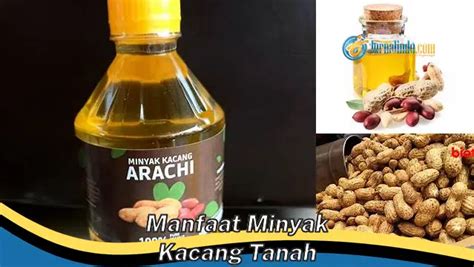 Banyak Yang Belum Tau Ini Dia 8 Manfaat Minyak Kacang Tanah Yang Wajib