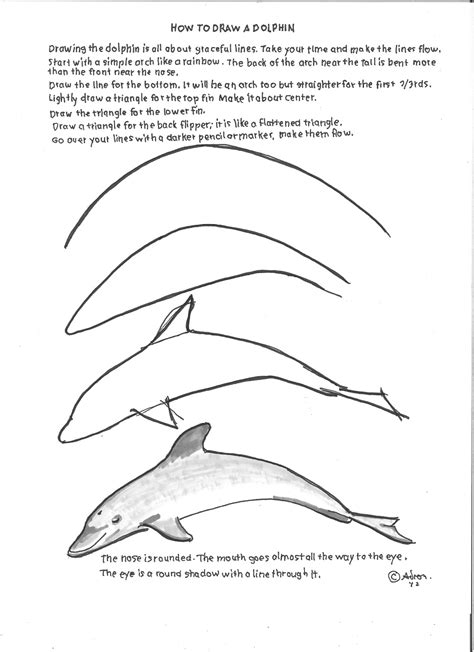 How to Draw Worksheets for The Young Artist: How to Draw A Dolphin Drawing Lesson For Young Artist.