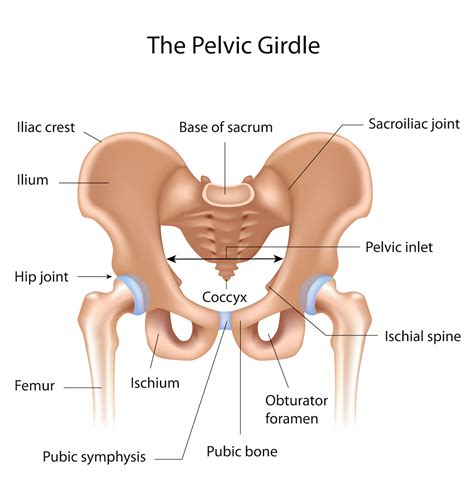 Sacroiliac Joint Dysfunction