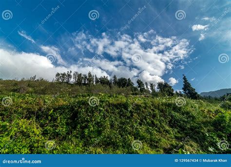 Step Farming in Mountains stock photo. Image of landscapes - 129567434