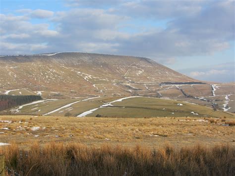 Early Modern Whale: At Pendle Hill