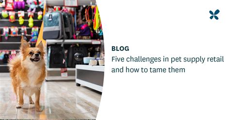 Five Challenges In Pet Supply Retail And How To Tame Them Relex Solutions