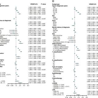 Multivariable Cox Regression Analysis And Forest Plot Model 4