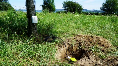 Soil Moisture And Temperature Profile For Lorawan® — Decentlab