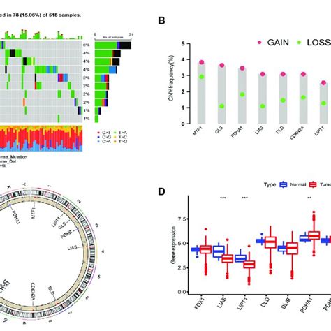 Landscape Of 10 CRGs In Endometrial Cancer A The Mutation Incidence