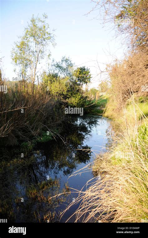 Wetland Hi Res Stock Photography And Images Alamy