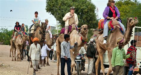 Bishnoi Village Safari | 1 Day Tour Package