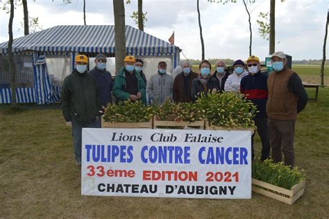 Tulipes Contre Le Cancer Fleurs Vendues Aubigny Pr S De Falaise