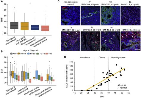 Pai Dependent Inactivation Of Smad Modulated Junction And Adhesion