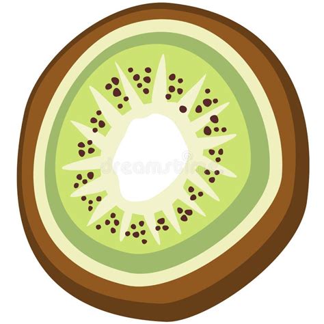 Juicy Kiwifruit Stock Illustrations 1 785 Juicy Kiwifruit Stock