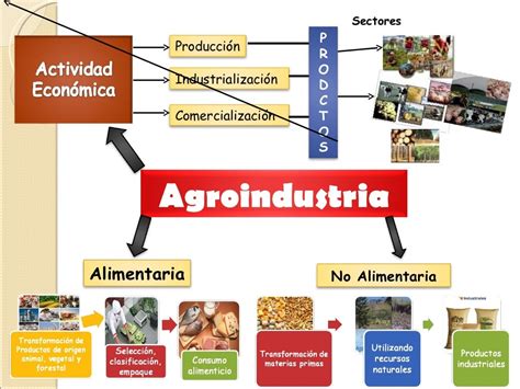 Mapa Mental Tic En La Agroindustria