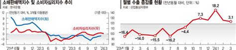 쓸 돈이 없다 고물가·고금리에 소비부진 길어진다 갈길 먼 내수회복