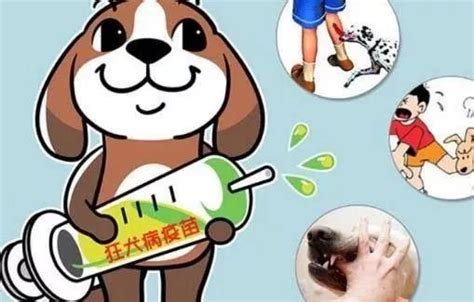 【健康提醒】谨防犬咬伤，接种处置要及时。 徐州市矿山医院