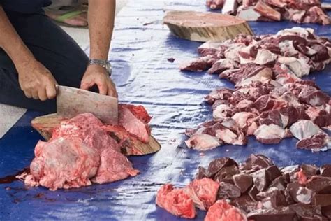 Tips Bagi Emak Emak Milenial Ini Cara Menyimpan Daging Kurban Agar