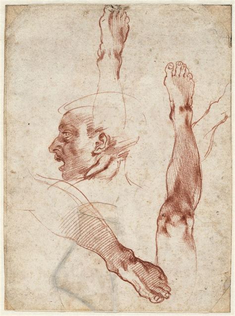 For The First Time A Cache Of Rare Michelangelo Drawings Nearly