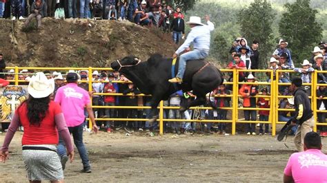 JARIPEO EN CAPACUARO MICHOACAN 01 DE JULIO 2023 SELECCION DE JINETES