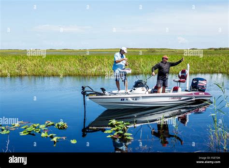 Tamiami Trail Highway Route 41 Highway Hi Res Stock Photography And