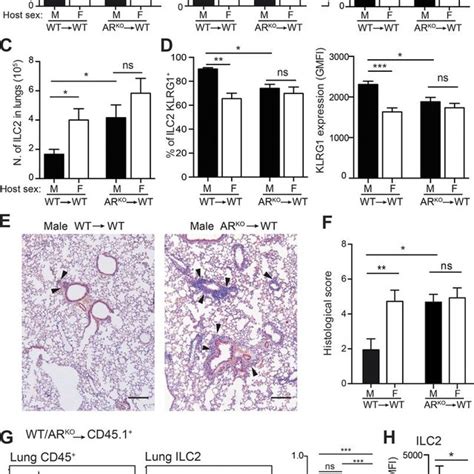 Ar Deficiency Abrogates Sex Differences In Ilc2 Dependent Lung