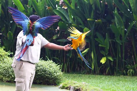 Bali Bird Park | Bali Tour Operators