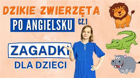 Angielskie zagadki DZIKIE ZWIERZĘTA angielski dla dzieci YouTube