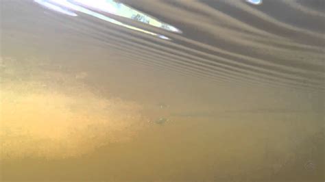 Smith Camion Magnum SSR - YouTube